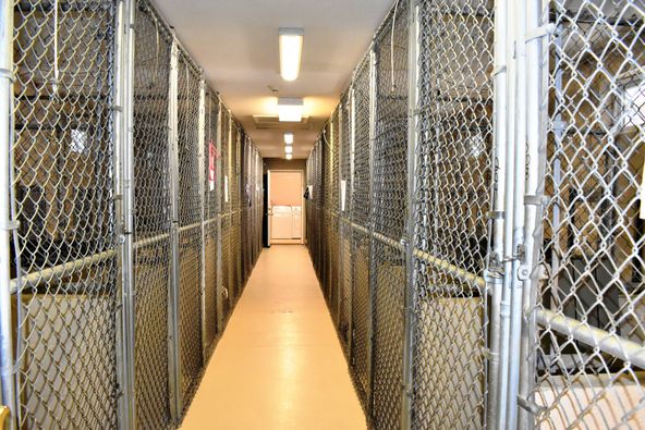 Bed & Biscuit: 153 Fence Ln, Crossville, TN 38571